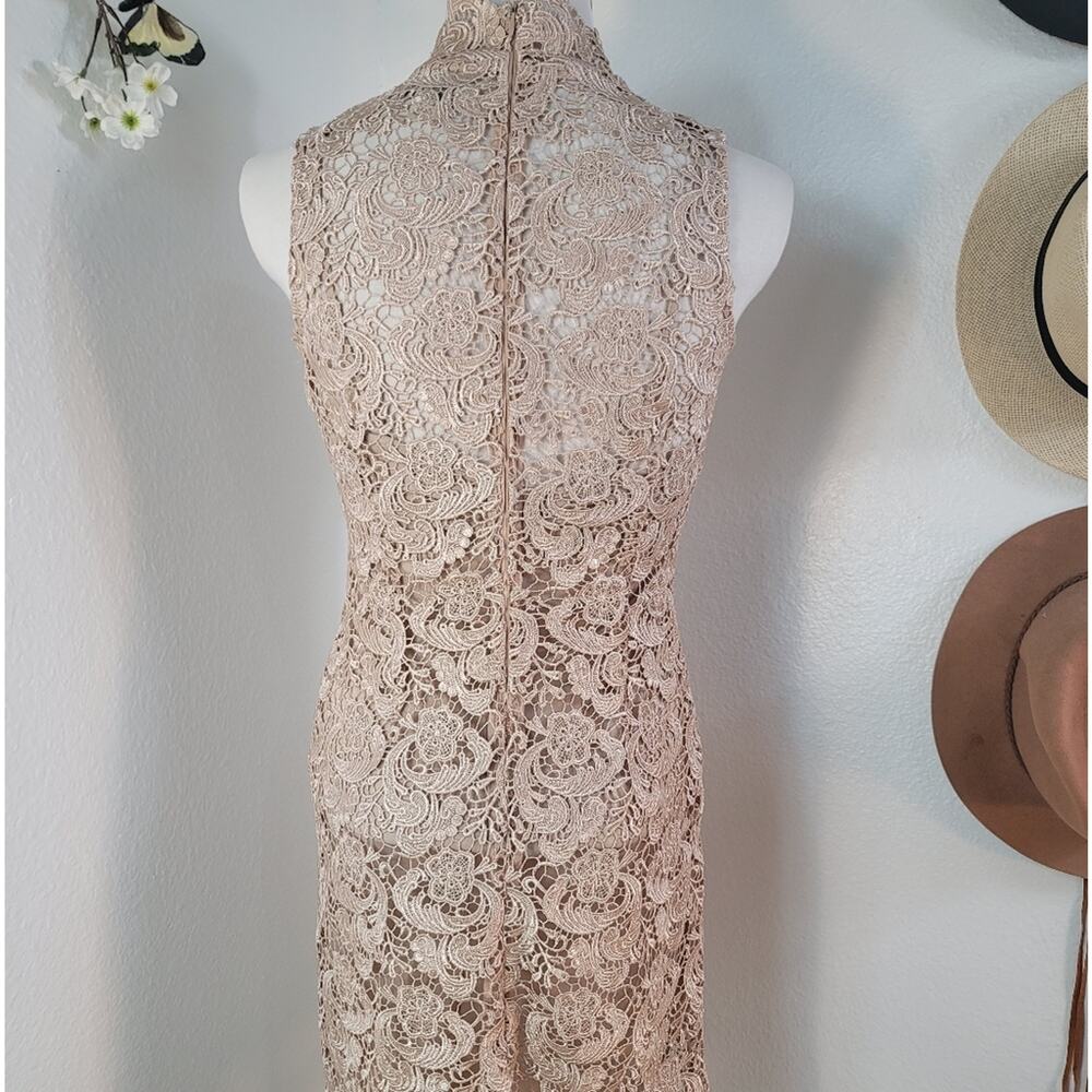 NWOT GRACIA Champagne Floral Lace Cocktail Sheath Dress Wedding Guest Elegant - Picture 11 of 16